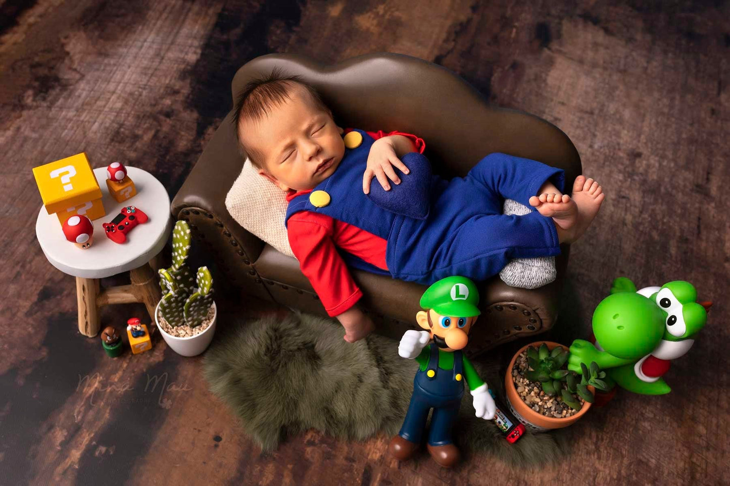 Mario - daliaphotoprops