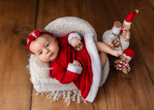 Christmas Collection Newborn Photography Props