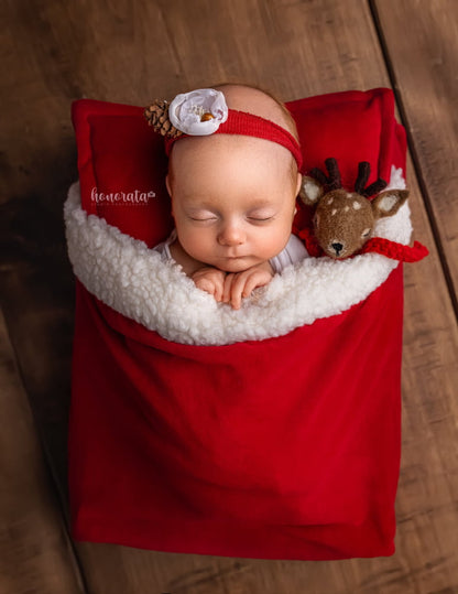 Santa Newborn Photography Set | Mattress Cover with Pocket Pillow & Hat | Optional Foam Insert