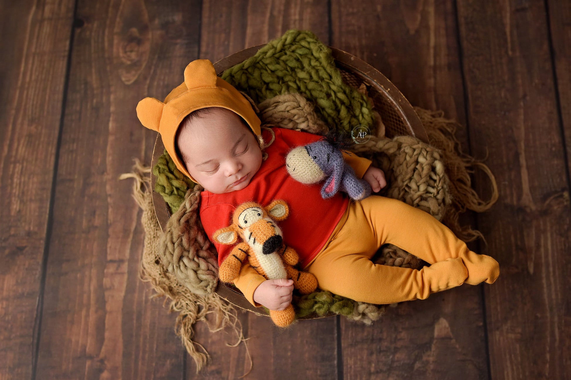 Winnie the Pooh Newborn Photography daliaphotoprops